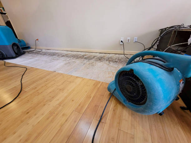 Professional Water Removal technician working in Concord, MO